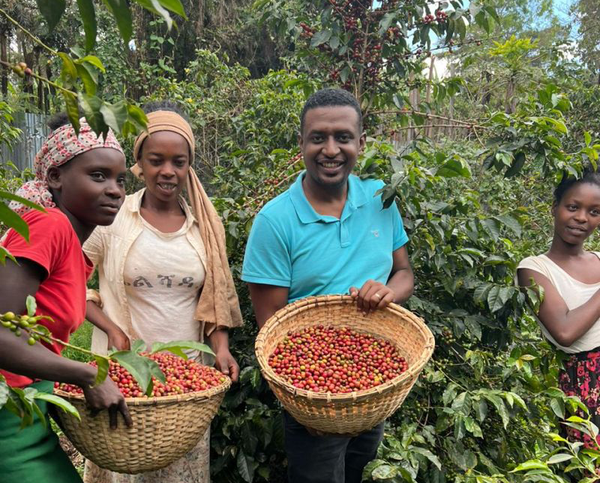 Why is this Coffee our favourite ?