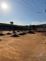 Brazil - Fazenda Corrego Bonito